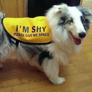 Meet your Posher, Earth